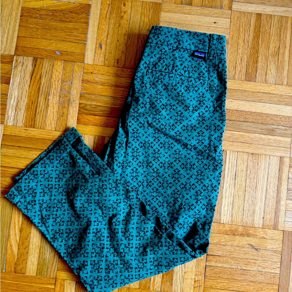 Patagonia pants